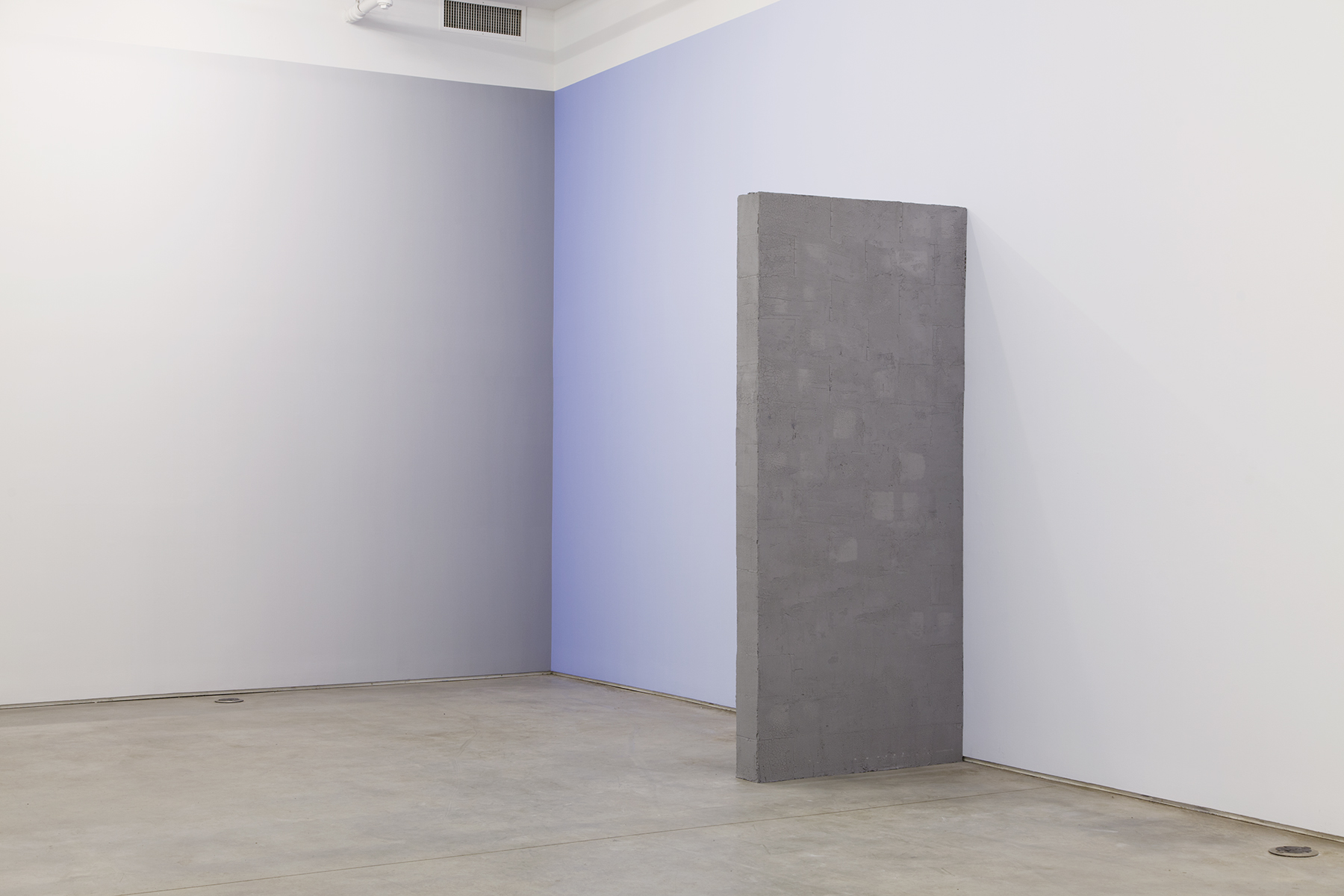 2 - Pieter Vermeersch at Team Gallery New York - 23.04.2014
