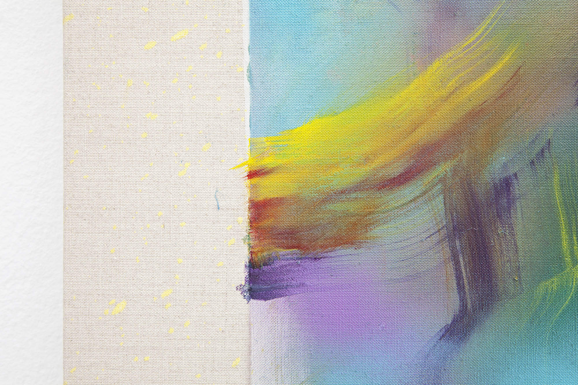 7 - Tyra Tingleff Crimson detail 2014 oil on canvas 200x300 cm - Courtesy Artist and Studiolo Milan - photo Filippo Armellin