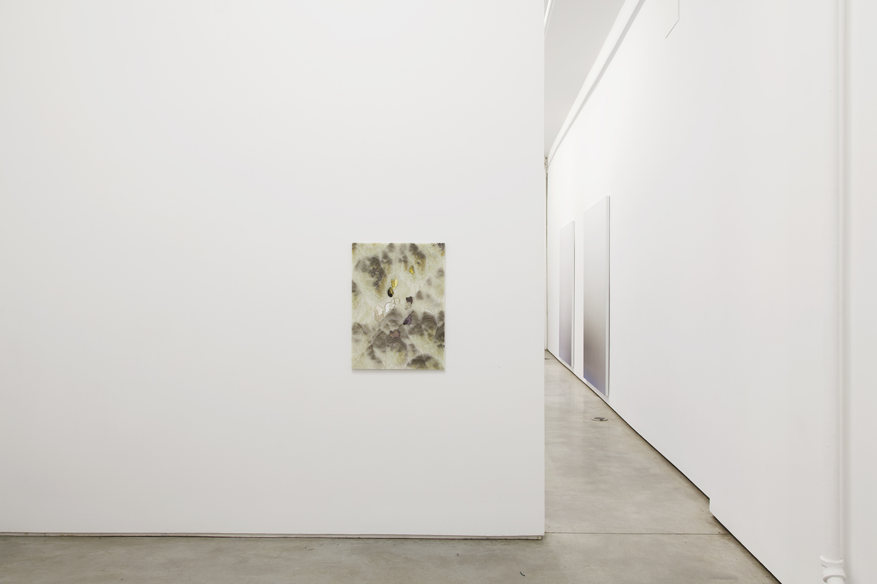 8 - Pieter Vermeersch at Team Gallery New York - 23.04.2014